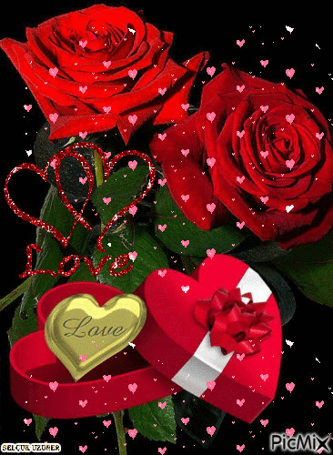 Red Roses Gifs Snehal Sharechat India S Own Indian Social Network