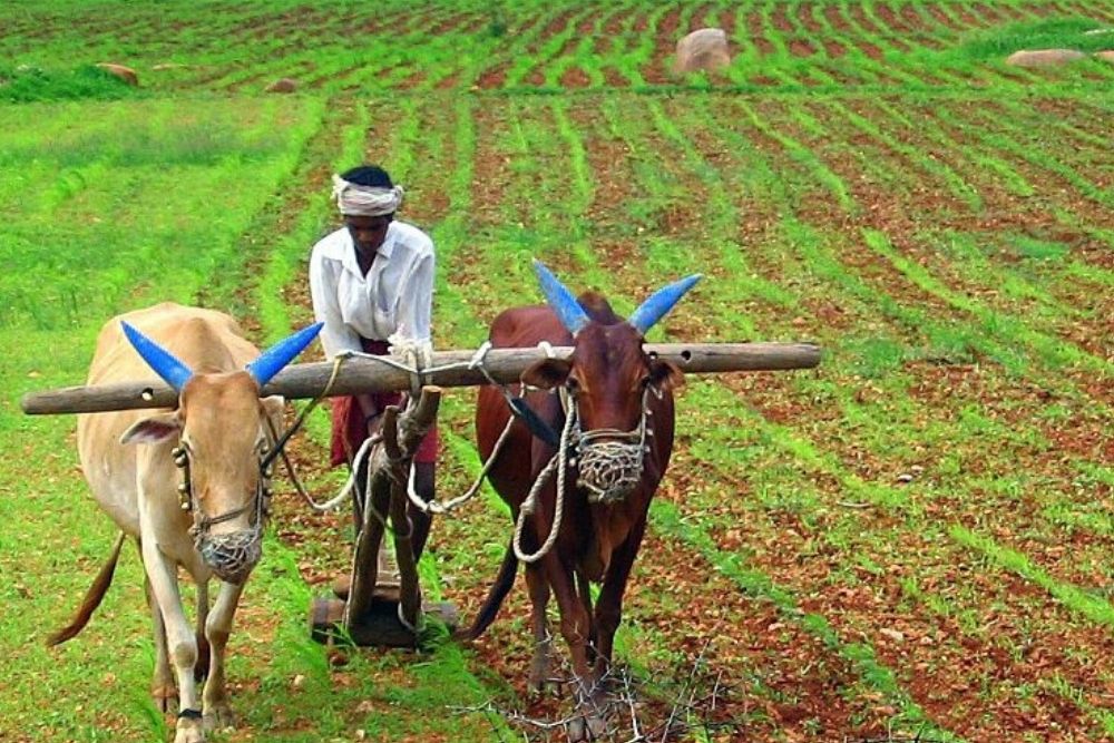 Bsc Honours Agriculture Meaning In Marathi