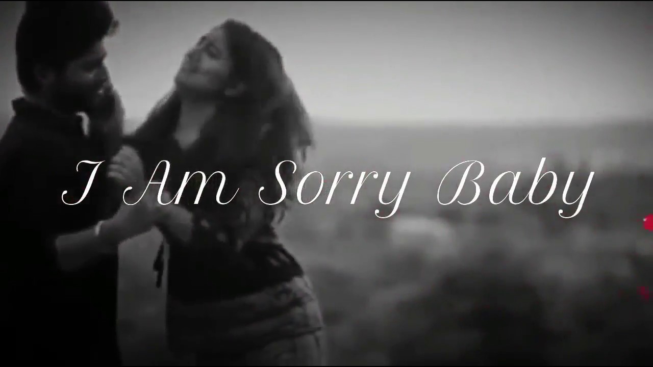 sorry baby • ShareChat Photos and Videos