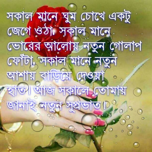 Best Ever Share Chat Bengali Good Morning Greetingimagesart