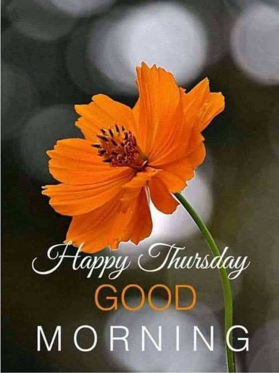 Good Morning Happy Thursday ShareChat Photos And Videos