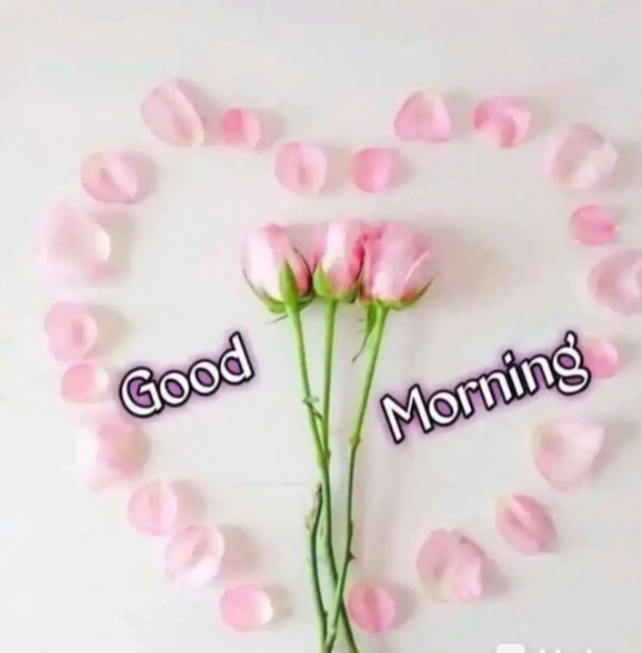 ☀☀good Morning🌞🌞 • Sharechat Photos And Videos