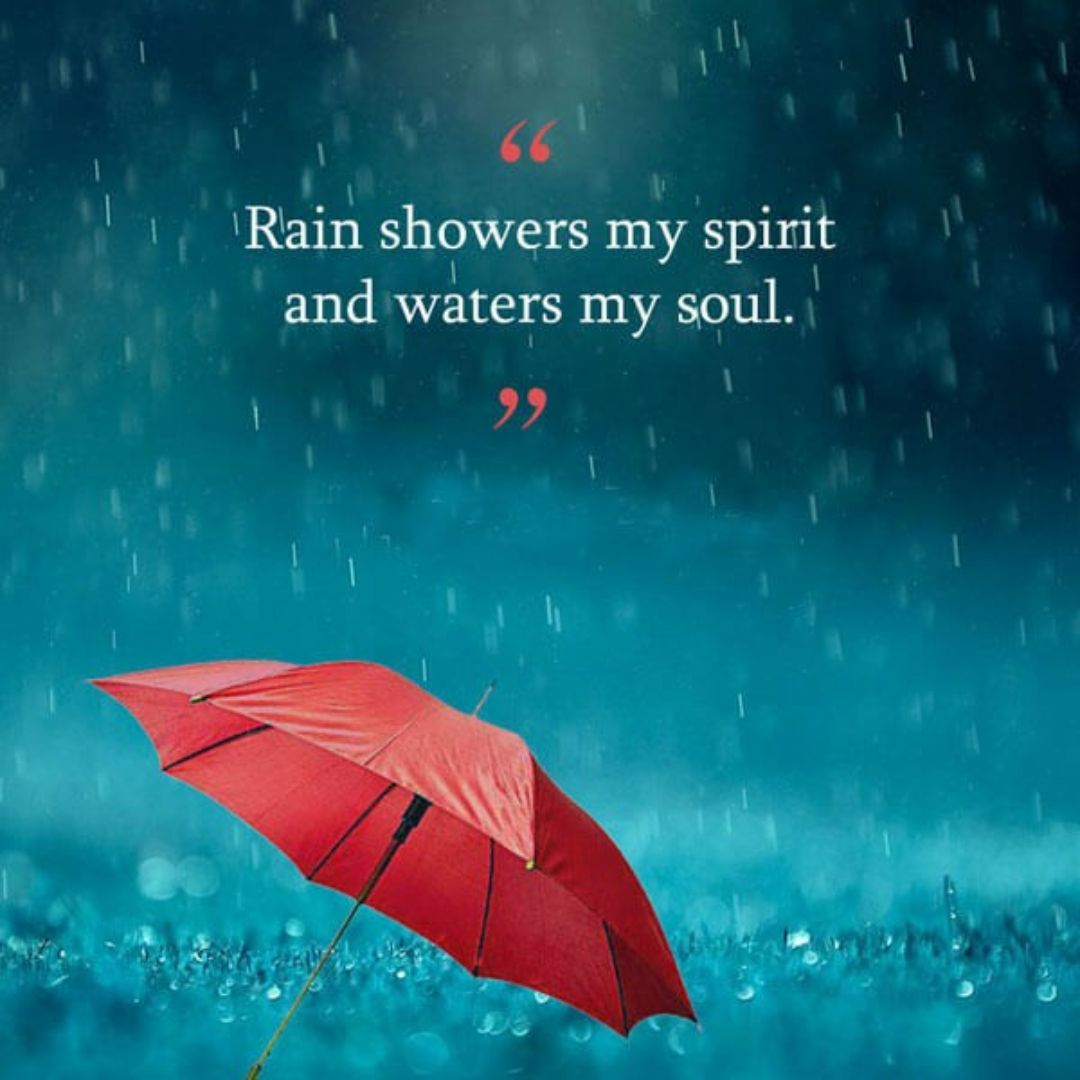 happy rainy day️️ • ShareChat Photos and Videos