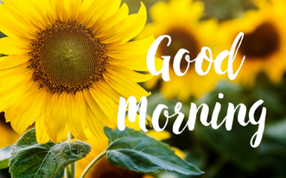 🌞 Good Morning🌞 • ShareChat Photos and Videos