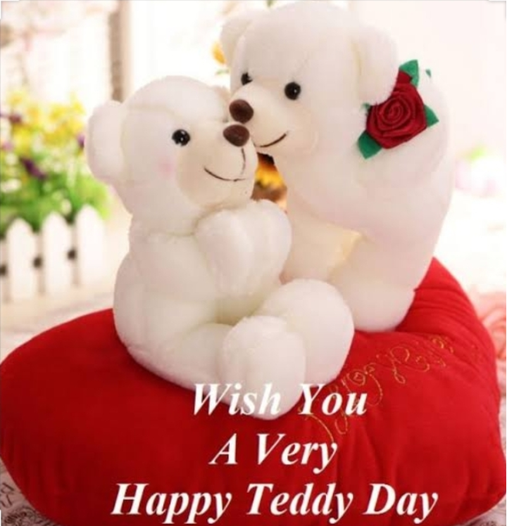 feb 10 teddy day