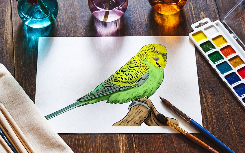 100 Best pet bird sketch challenge Images, Videos - 2023 - 🦜Pet Bird