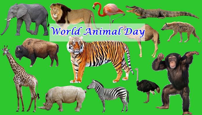 world animal welfare day • ShareChat Photos and Videos