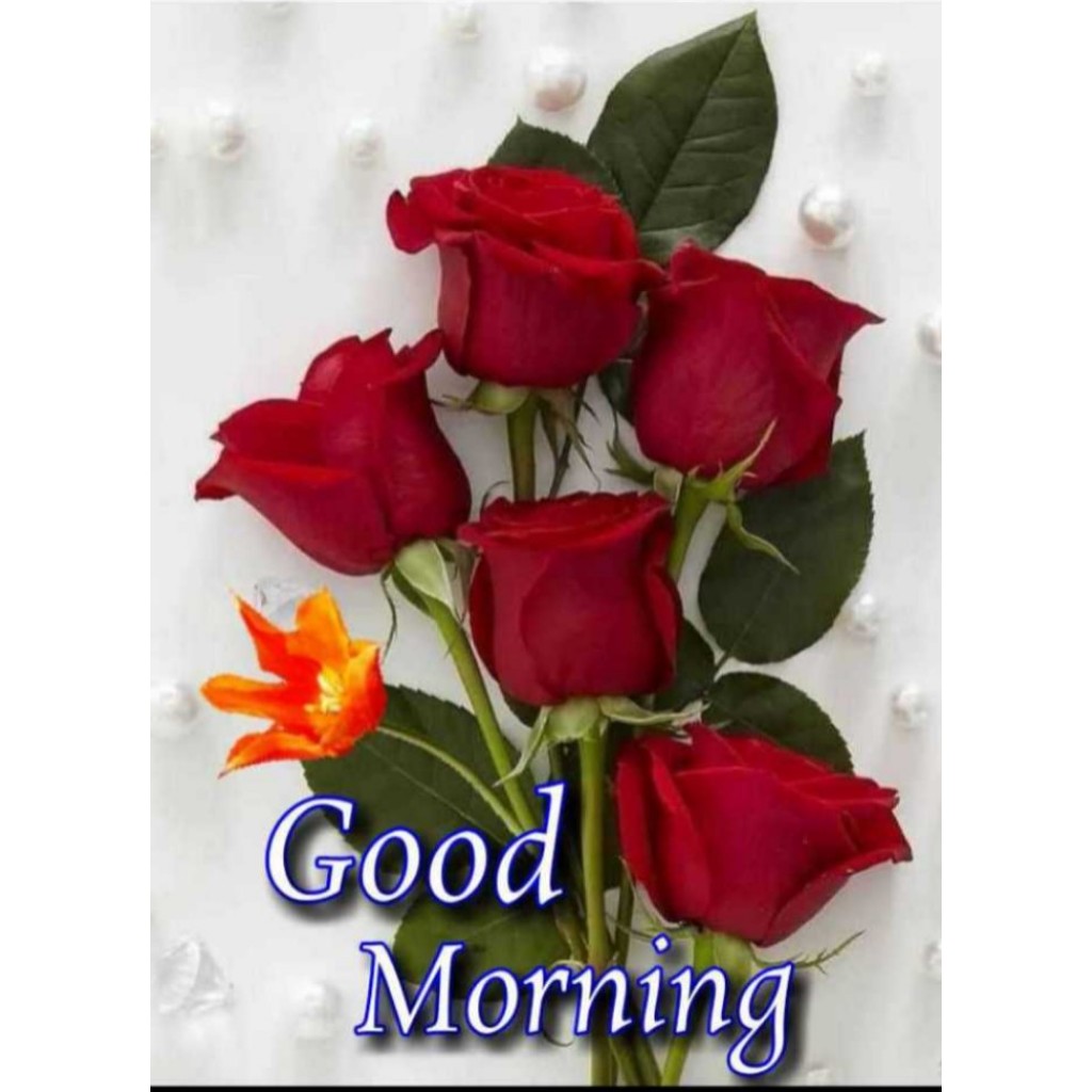 good morning all friends • ShareChat Photos and Videos