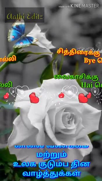 Good Night Video Download Share Chat Tamil Aprofe