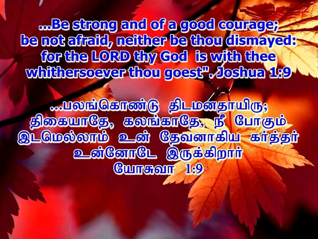 tamil-bible-verse-sharechat-photos-and-videos