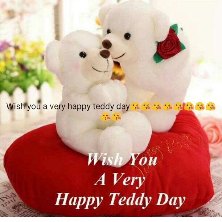 10 feb teddy day