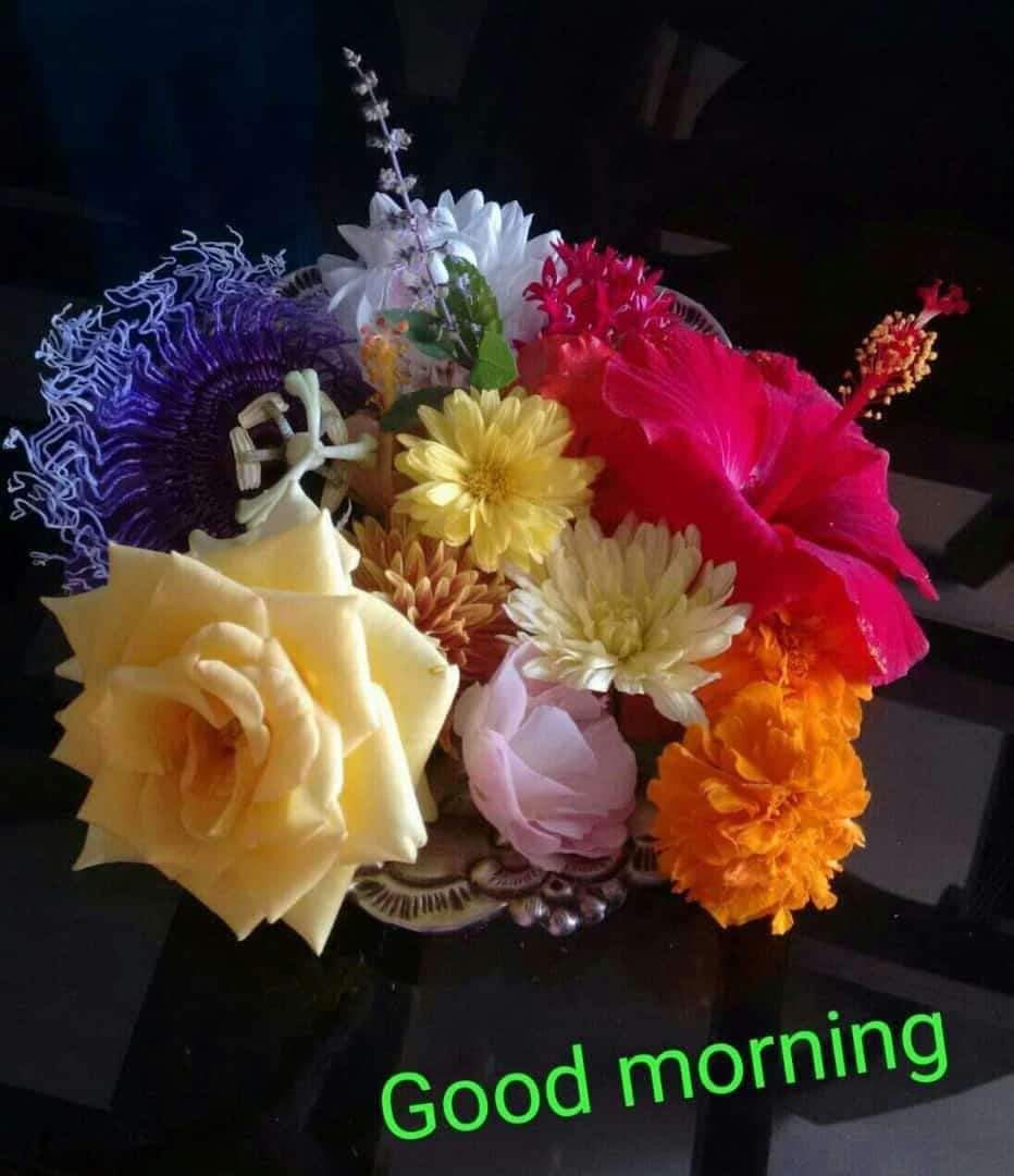  good  morning  god  Images krushana bhise ShareChat 