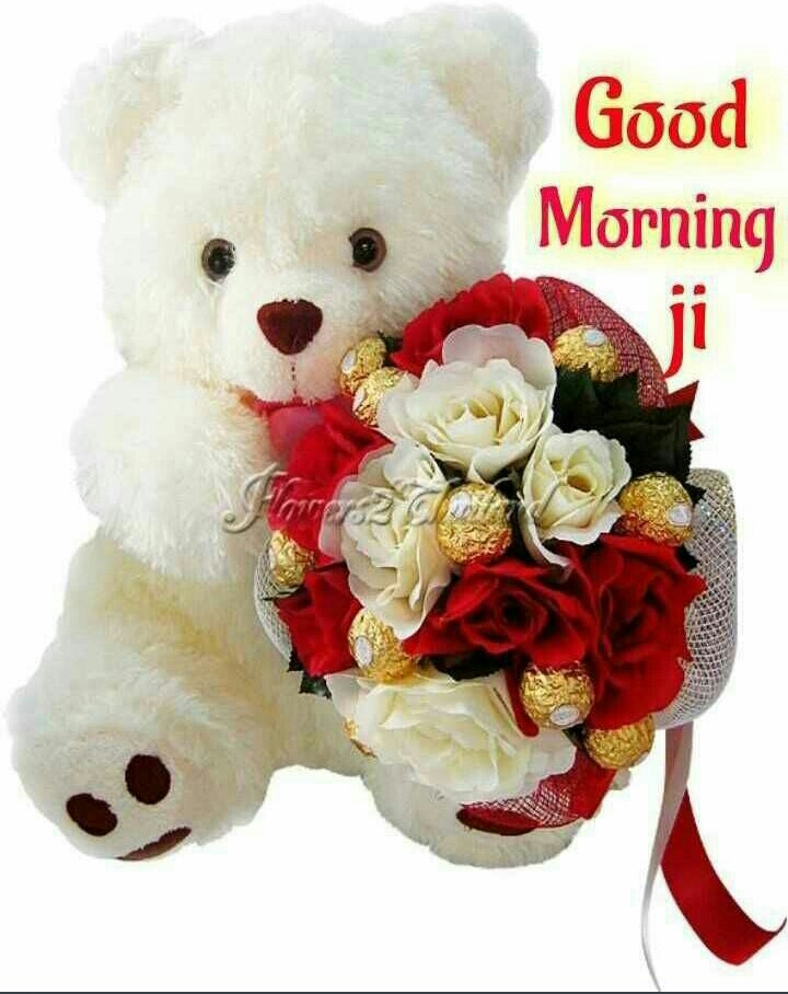 Good Morning Teddy Bear Images Bestpicture1 Org