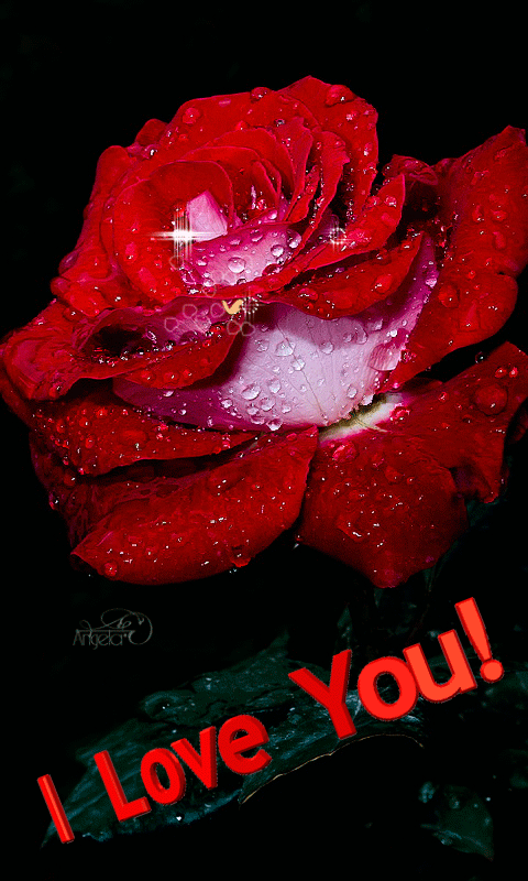 flowers pictures Get Here Rose Flower Love Image Gif