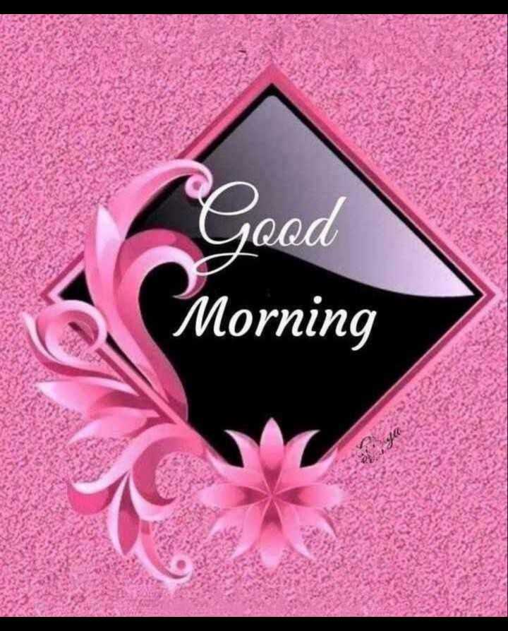 🌅 Good Morning Images Kiran Munjani Sharechat ભારતનું પોતાનું ભારતીય સોશ્યલ નેટવર્ક