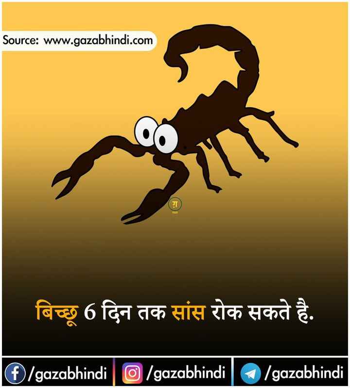 Hindi new fact • ShareChat Photos and Videos