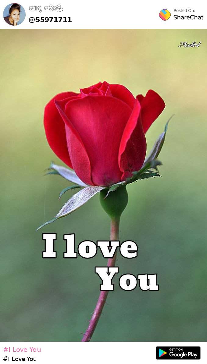 I Love You Images Sonali Sharechat India S Own Indian Social Network