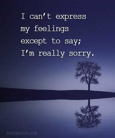 i-m-sorry-images-trinath-creation-sharechat-100