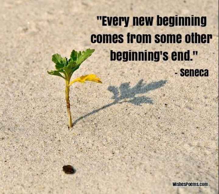 My new begun. Every end is a New beginning. Every end is a New beginning надпись. Every end brings New beginning. New beginnings Рахман.