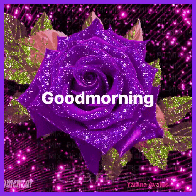 List 92+ Wallpaper Good Morning Purple Flowers Images Full HD, 2k, 4k