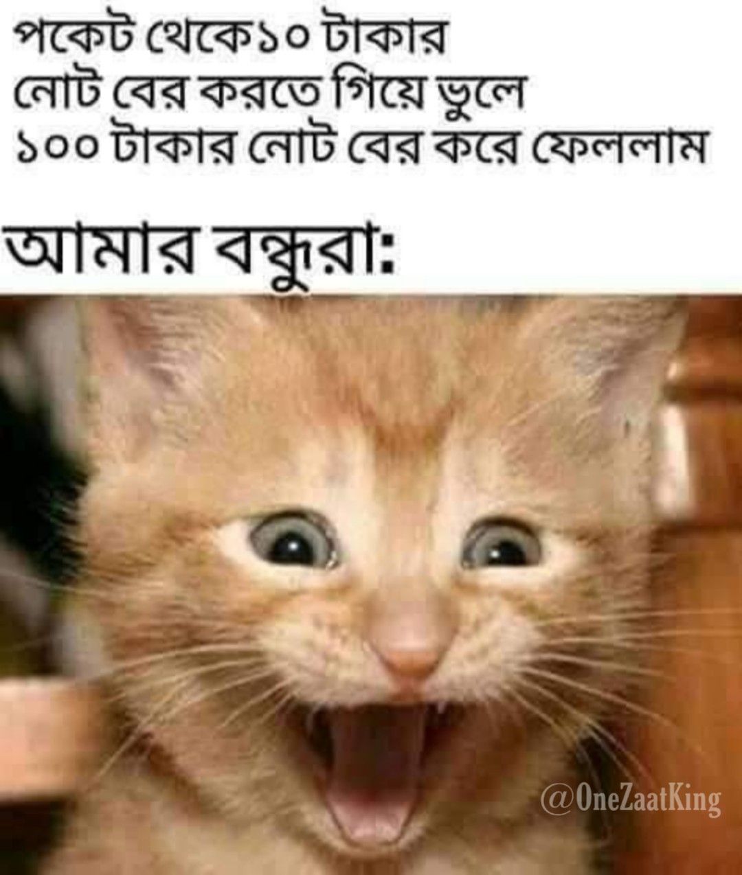 100 Best Images Videos 2022 Bengali Memes WhatsApp Group 