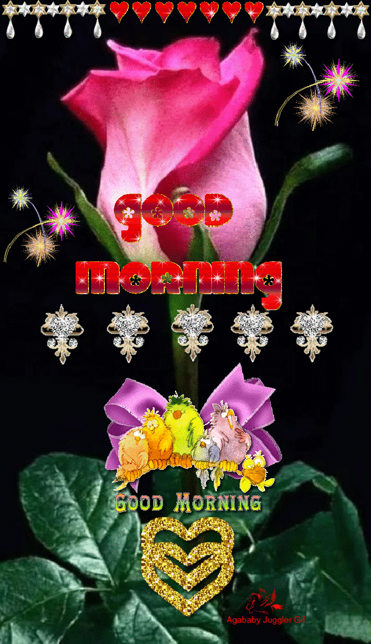 Good Morning GIFs • Mohini Choudhary (@17111321) on ShareChat