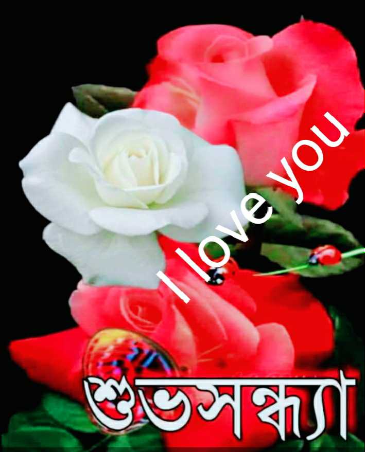I Love You Jaan Images Suresh Pal Sharechat India S Own Indian Social Network