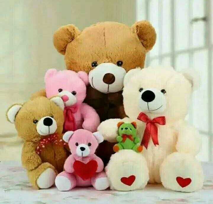 my favourite teddy bear