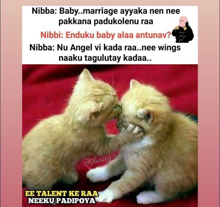 nibba &amp;nibbi Images qυєєи σf мσм ∂α∂👸😎😇 - ShareChat - India&#39;s own Indian  Social Network