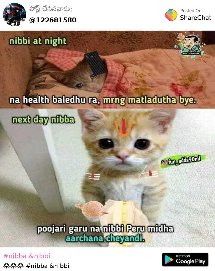 100 Best Images, Videos - 2021 - nibba &amp;nibbi - WhatsApp Group, Facebook  Group, Telegram Group